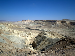 Zin_Valley_in_the_Negev_Desert_of_Israel
